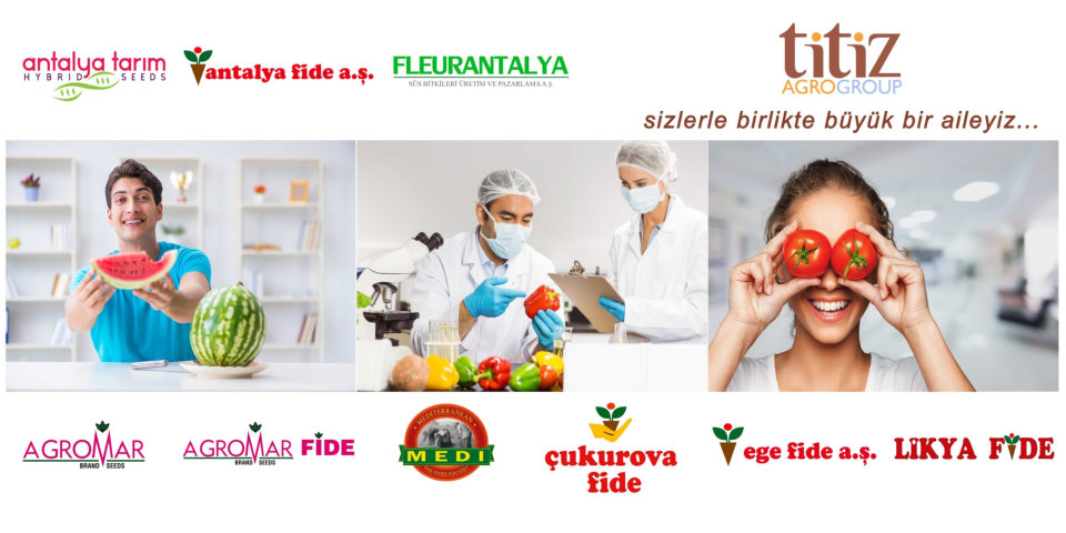 Carnation Greenhouse