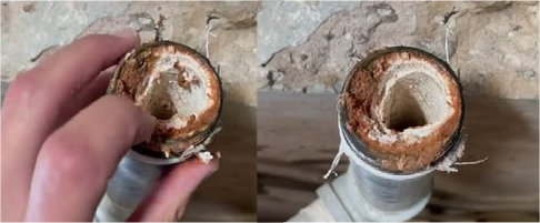 Dairy Cattle Stable Nuevo Leon hard water water softener