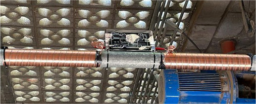 Dairy Cattle Stable Nuevo Leon mineral descaler