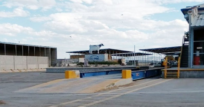 Rancho Dulce Maria Dairy Farm