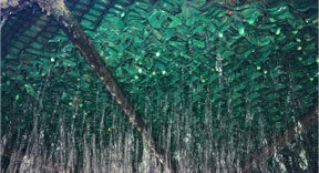 Ceddek lower area after