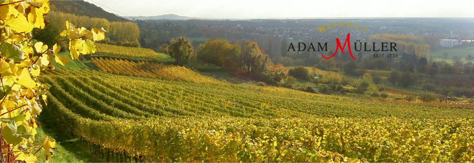 Weingut Adam Müller winery in Leimen, Germany