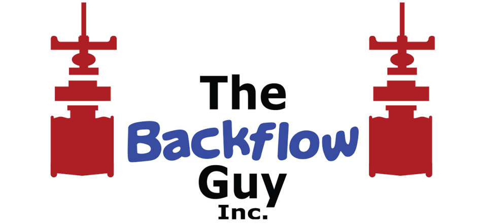 backflow descale water pipes